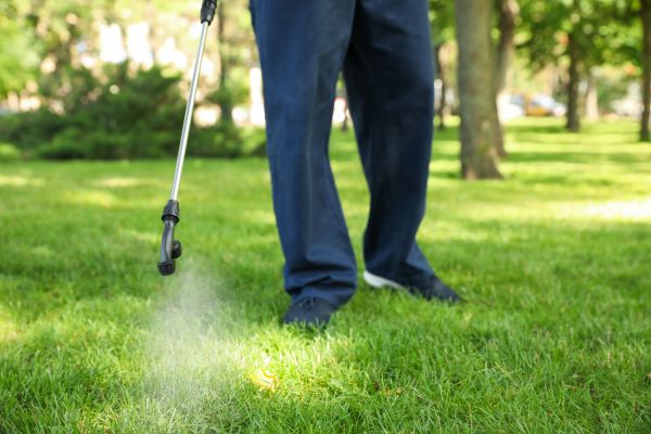 Greensboro Lawn Treatment